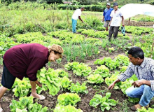 MST lança plano de reforma agrária popular para superar a crise